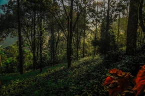 Southern Panorama Indriya Resorts & Spa